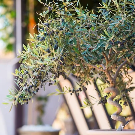 Ioanna Appartement Potos