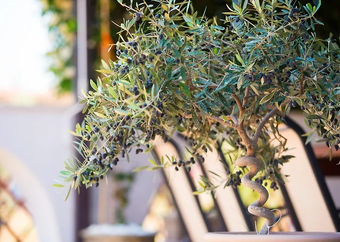 Ioanna Appartamento Potos