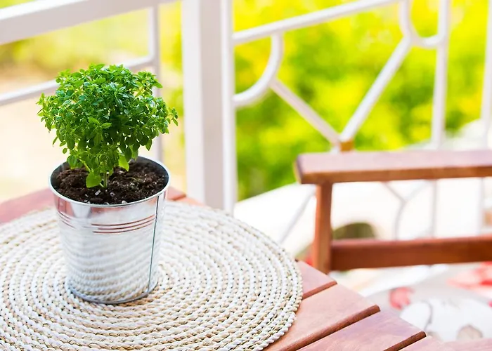 Ioanna Appartamento Potos